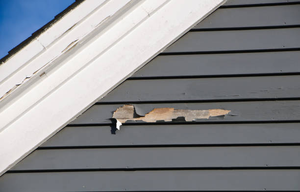 How To Choose The Right Materials for Your Siding Installation in 'Florence, SC